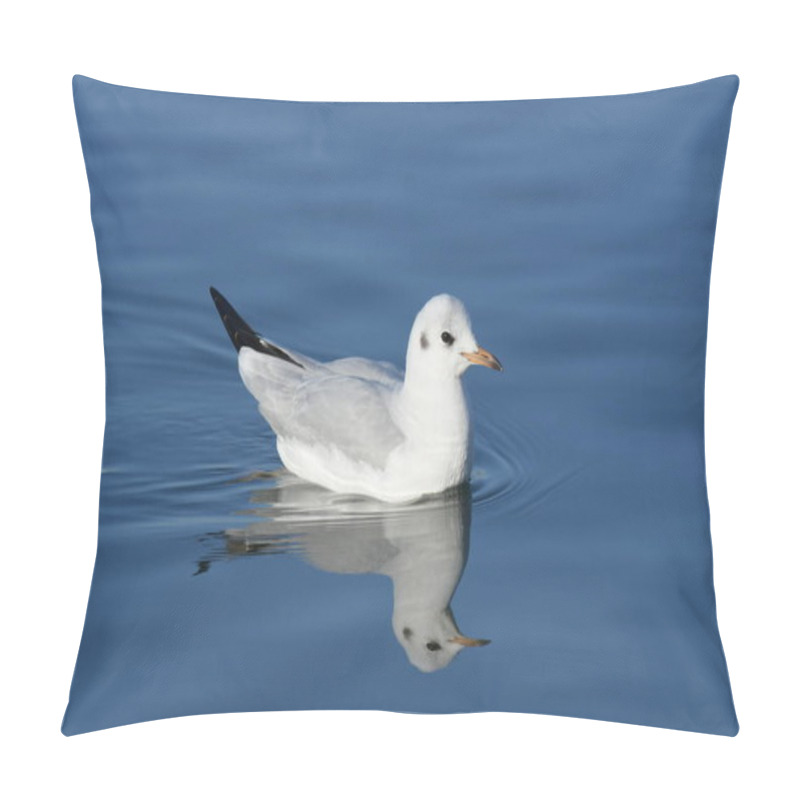 Personality  Black-headed Gull -  (Chroicocephalus Ridibundus)  Pillow Covers