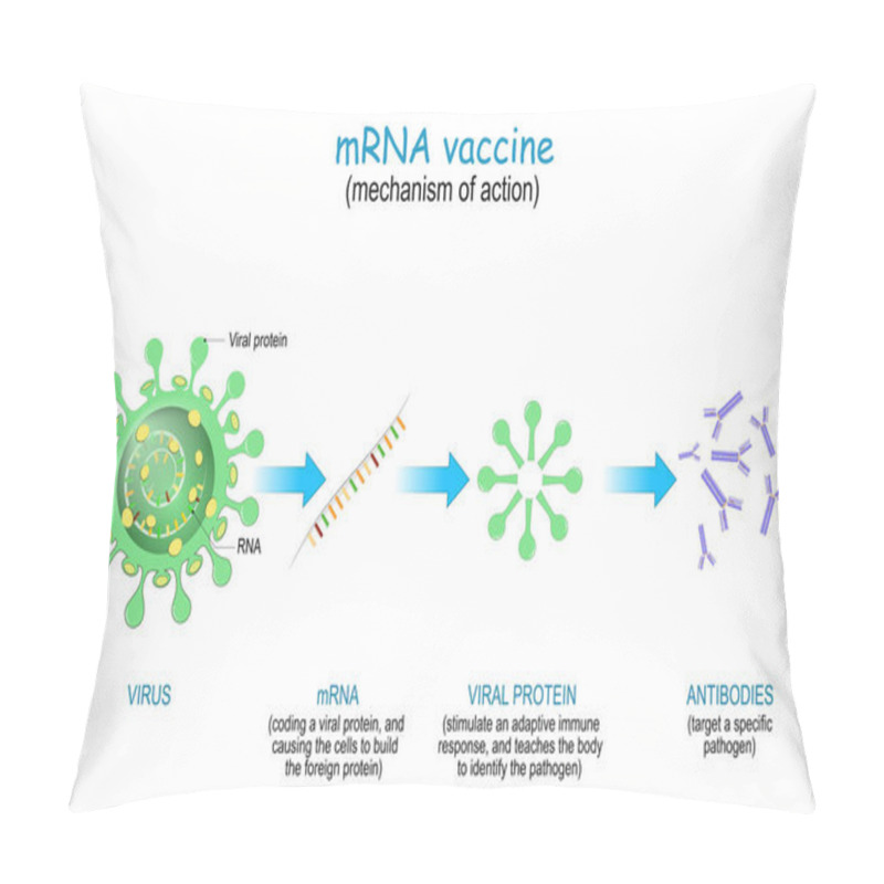 Personality  Mechanism Of Action Of The RNA Vaccine. COVID-19. Pandemics Caused Development Of The MRNA Technology For New Way To Deliver A Messenger RNA Into A Cell To Produce Antigens And Antibodies For Different Disease. Pillow Covers