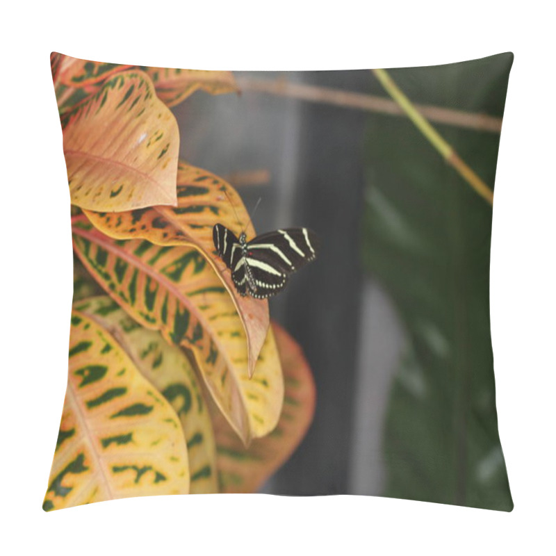 Personality  Butterflies On A Flower In Nature Pillow Covers