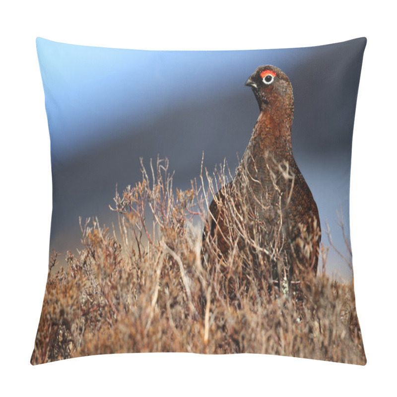 Personality  Red Grouse (lagopus Scotica) In The Heather Pillow Covers