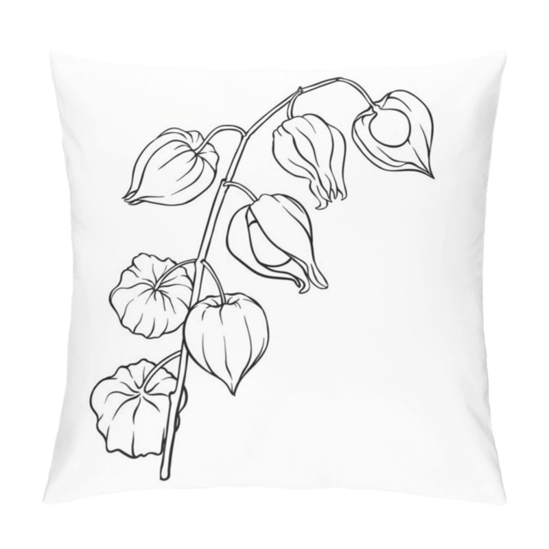 Personality  Phisalis Branch With Berries Outline Illustration. Vector Isolated For Design Or Decoration Pillow Covers