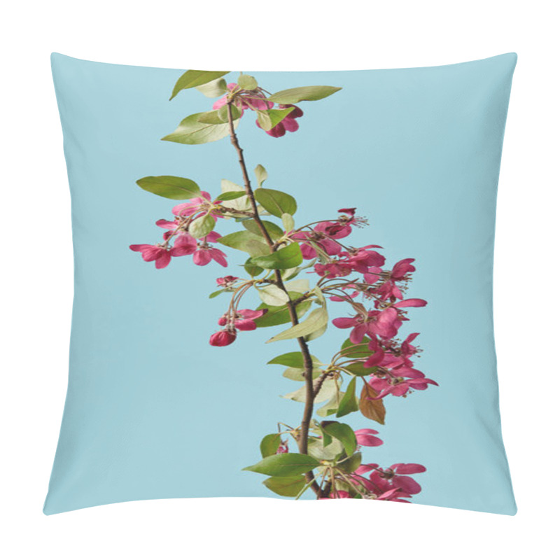 Personality  Close-up Shot Of Beautiful Sakura Blossom Isolated On Blue Pillow Covers