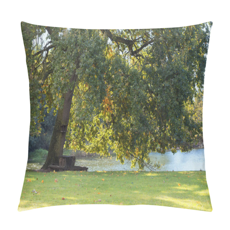 Personality  Bench Under A Tree By The River. The Blue Sky Is In The Background Pillow Covers