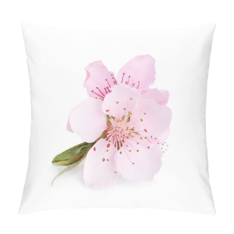 Personality  Beautiful Tree Blossom Isolated On White. Spring Season Pillow Covers