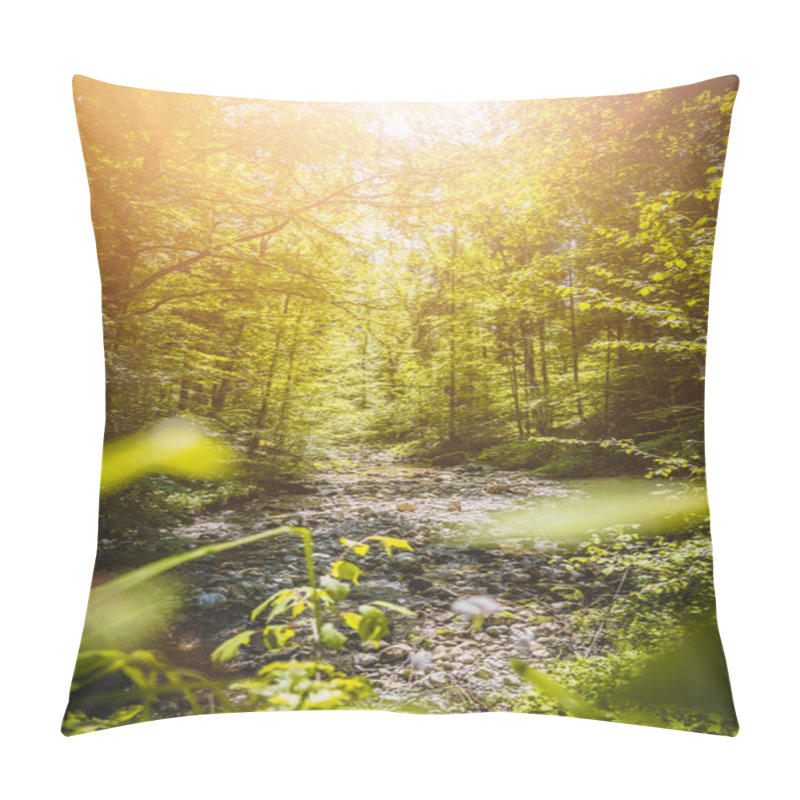 Personality  Beautiful Idyllic River And Forest Landscape In The Alps, Austria, Glasenbach Pillow Covers