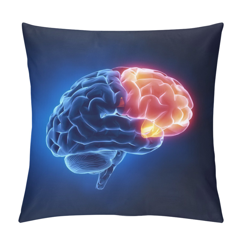 Personality  Frontal Lobe - Human Brain In X-ray View Pillow Covers