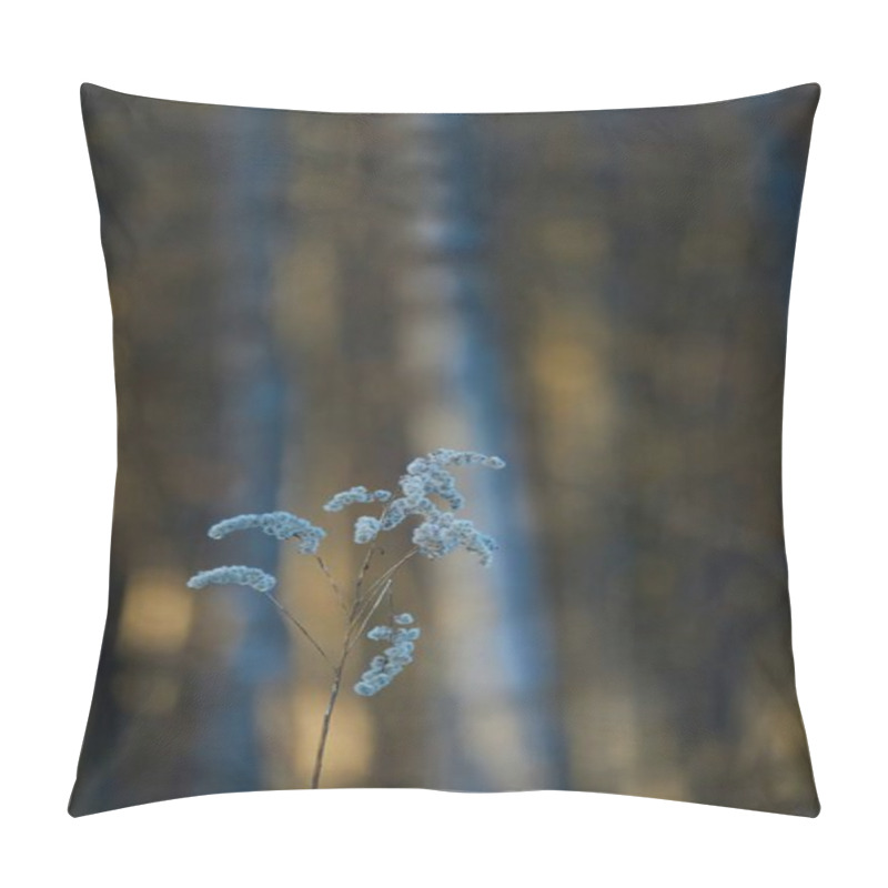 Personality  Delicate White Wildflowers Stand Tall Against A Blurred Forest Backdrop. Pillow Covers