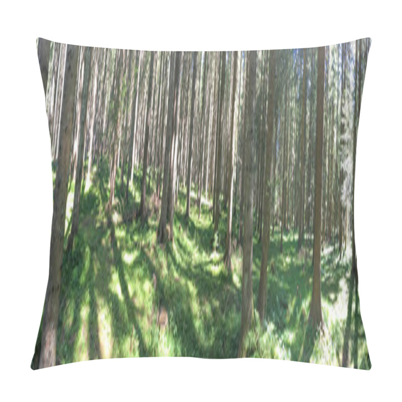 Personality  Panoramic View Of Alpin Woods In Summer Pillow Covers