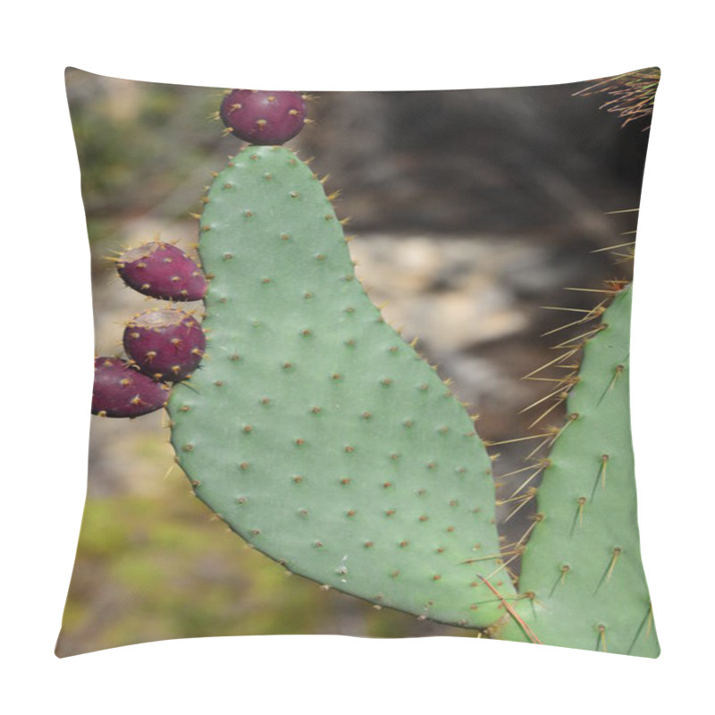 Personality  Cactus Plant, Tropical Flora Pillow Covers