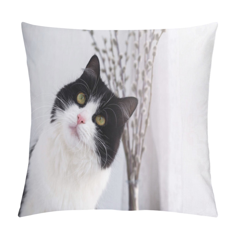 Personality  Portrait Of A Domestic Black And White Cat, Close-up Pillow Covers