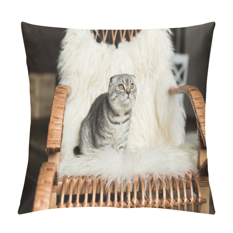 Personality  Cat On Rocking Chair Pillow Covers