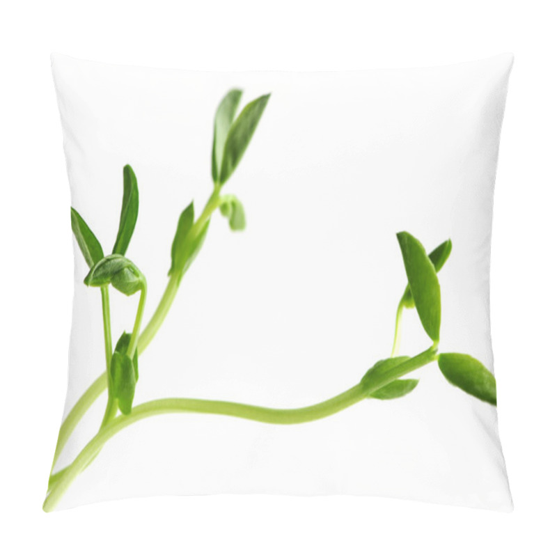 Personality  Green Young Pea Sprouts Isolated On White Background Pillow Covers