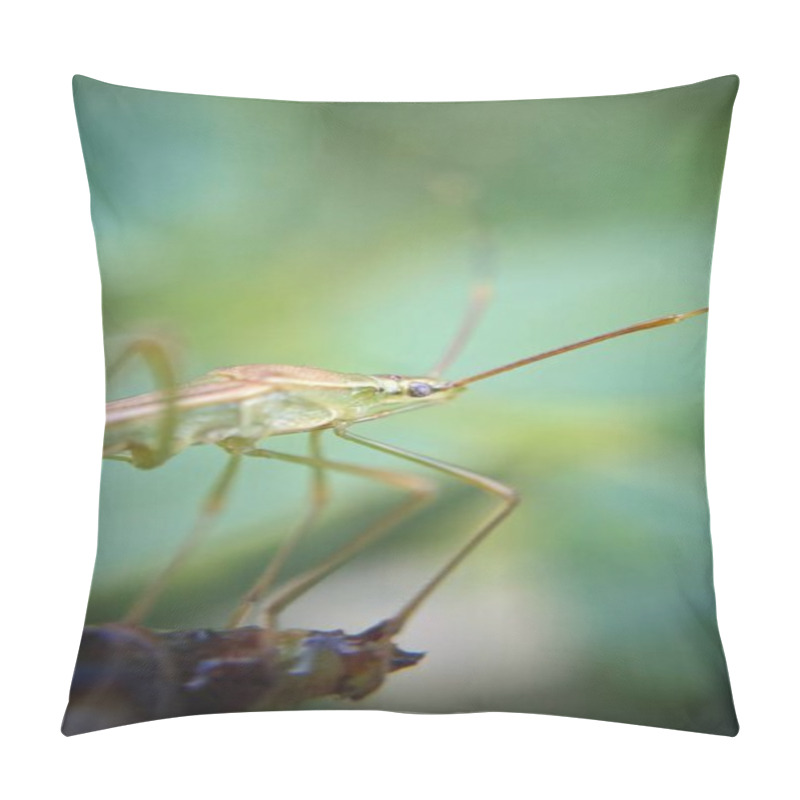 Personality  A Close-up Of A Rice Ear Bug, Highlighting Its Slender Body And Long Antennae. The Background Is Softly Blurred With Green Hues, Emphasizing The Bug's Intricate Details. Pillow Covers