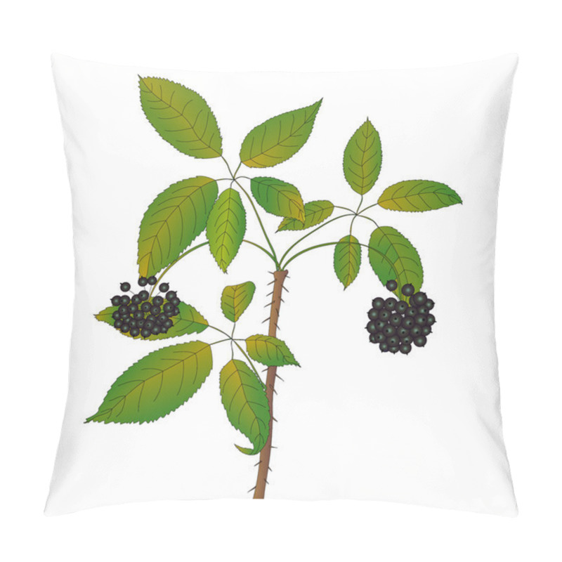 Personality  Eleutherococcus Senticosus Pillow Covers