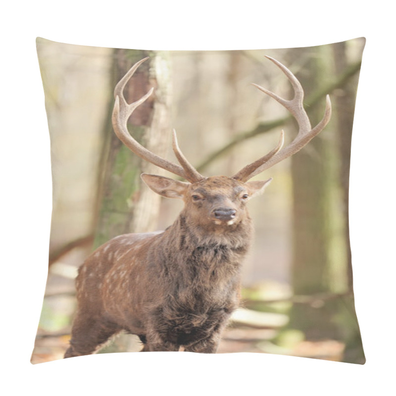 Personality  Deer In Autumn Forest Pillow Covers