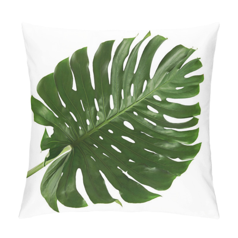 Personality  Monstera Deliciosa Leaf Or Swiss Cheese Plant, Isolated On White Background, With Clipping Path Pillow Covers