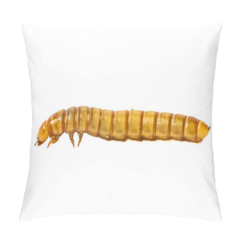 Personality  Side View Mealworm Close Up  Pillow Covers