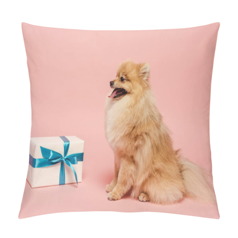 Personality  Adorable Pomeranian Spitz Dog With Birthday Gift On Pink Pillow Covers