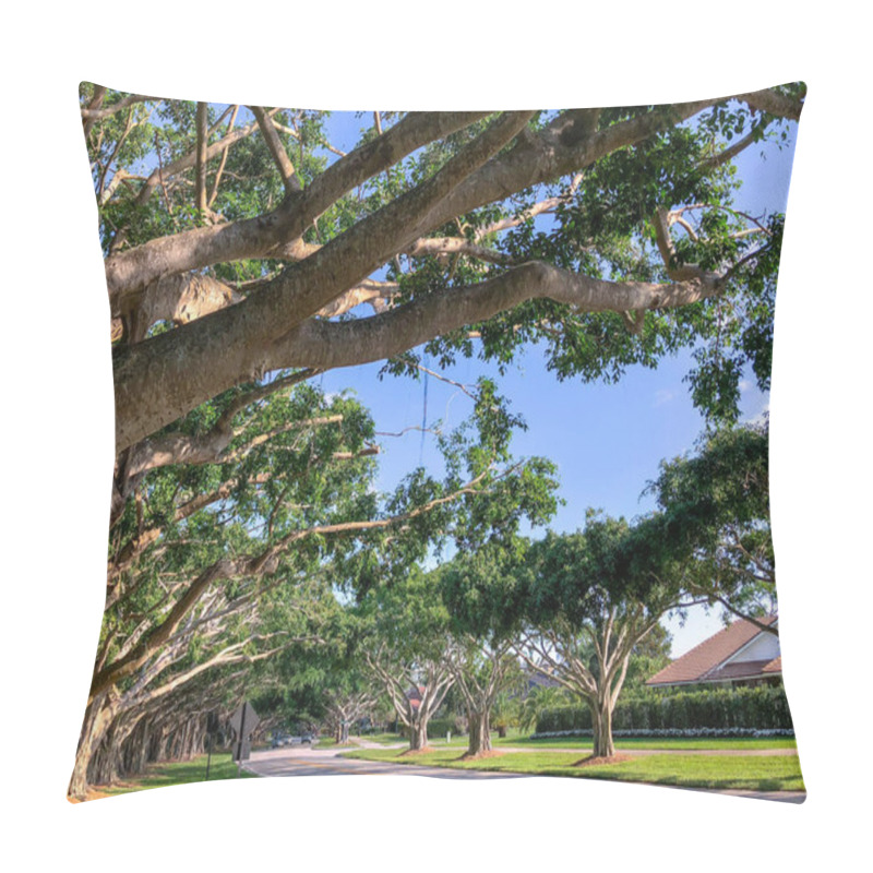 Personality  Banyan Tree  Trunks And Lizard In Southern Florida Pillow Covers