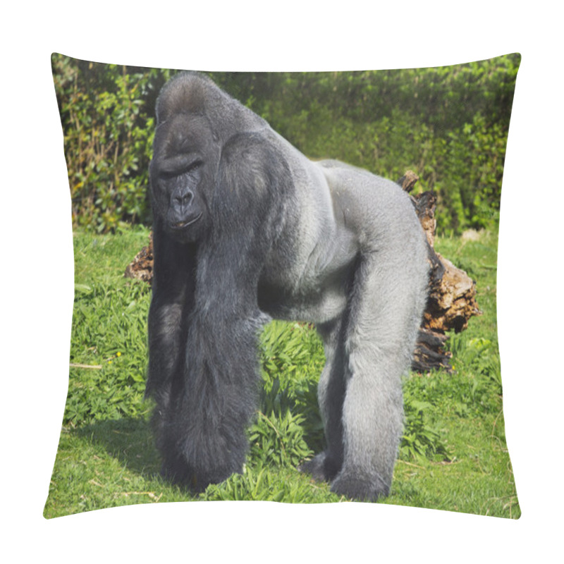 Personality  A Large Male Silver Back Western Lowland Gorilla Pillow Covers