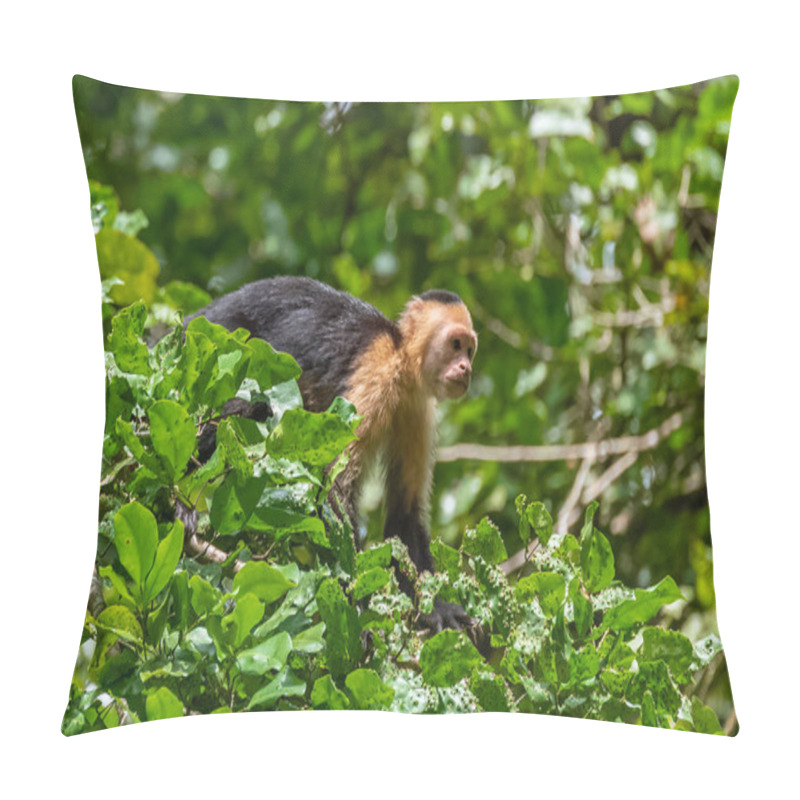 Personality  Capuchin, Monkey On A Tree In The Jungle, Costa Rica Pillow Covers