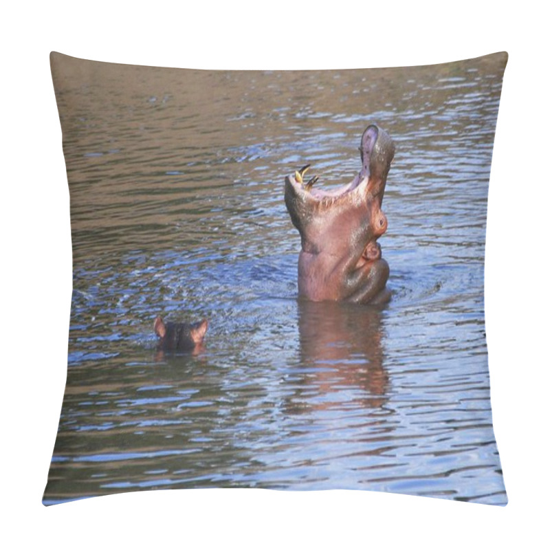 Personality  Hippopotamus (Hippopotamus Amphibius) In The Water With Its Mouth Opened Wide  Pillow Covers