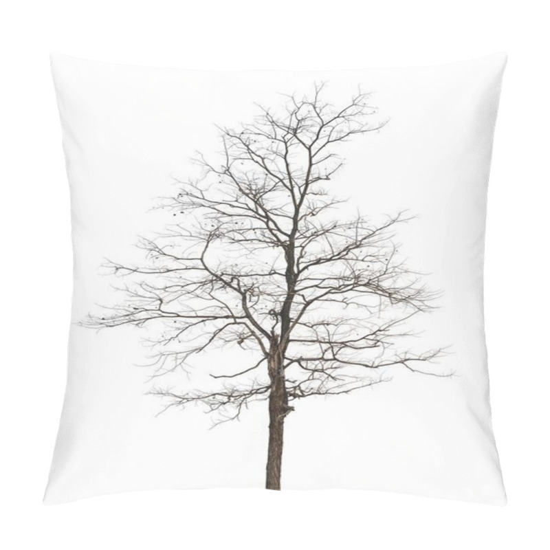 Personality  Tree Without Leaf Isolated On White Background Pillow Covers