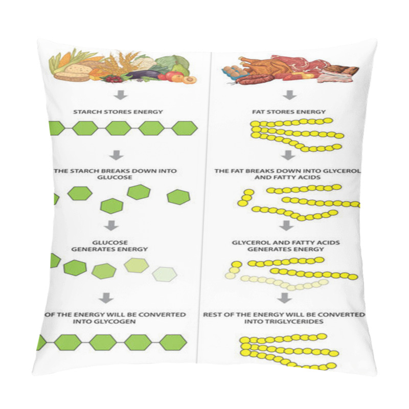 Personality  Carbohydrates And Fats Pillow Covers