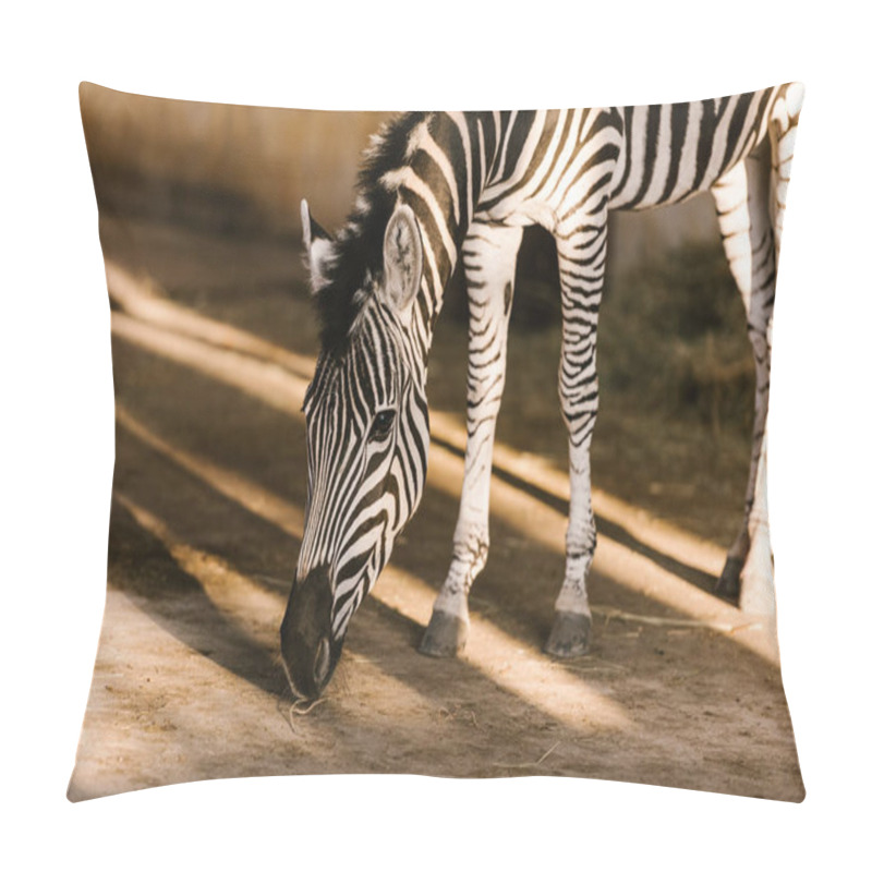 Personality  Close Up View Of Beautiful Striped Zebra At Zoo Pillow Covers