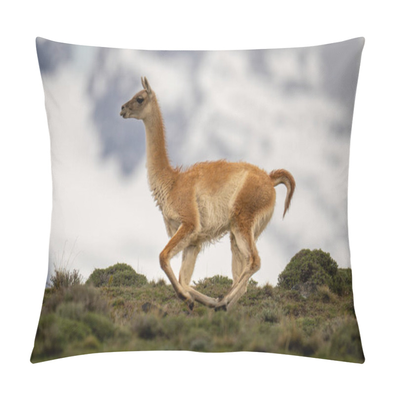 Personality  Guanaco Runs Down Ridge With Mountains Behind Pillow Covers