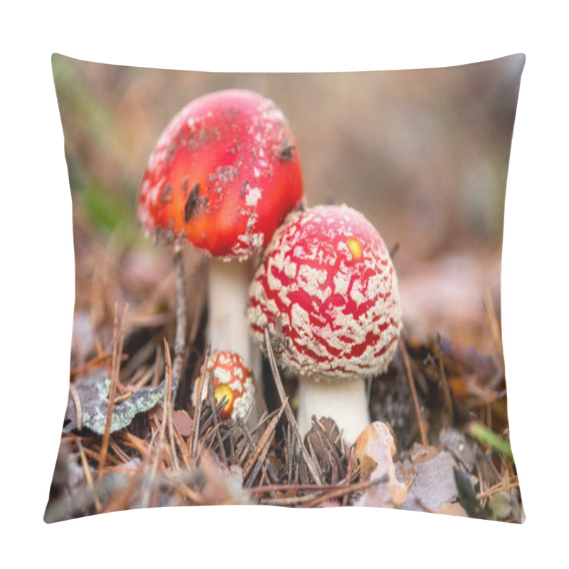 Personality  Amanita Muscaria, Poisonous Mushroom In Natural Forest Background. Pillow Covers