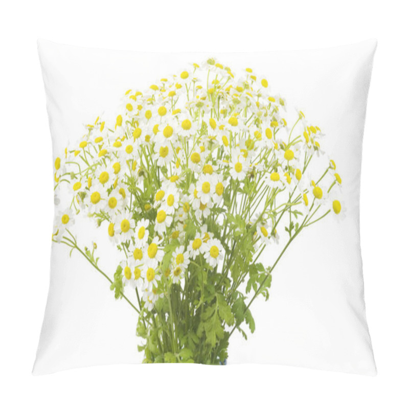 Personality  Chamomile Bouquet,white Background Pillow Covers