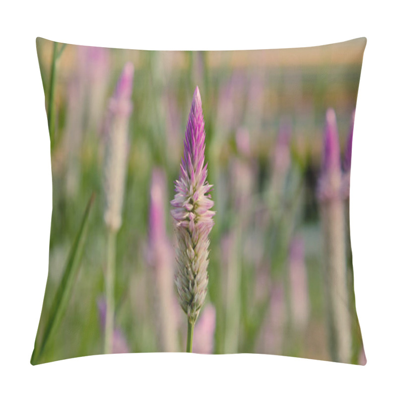 Personality  Beautiful Natural Flowers, Close Up. Flora Pillow Covers