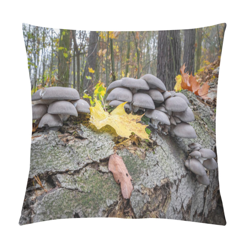 Personality  Edible Oyster Mushroom On Dead Tree Stem Pillow Covers