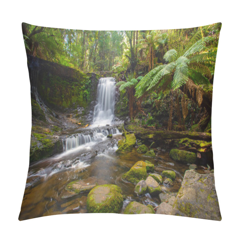 Personality  Horeshoe Falls  In Mount Field National Park Near Hobart, Tasmania, Australia Pillow Covers