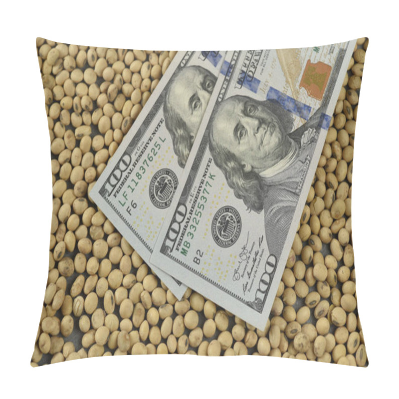 Personality  Dollars Banknotes And Coins And Soy Beans,oleaginous Commoditi Value Concept. Pillow Covers