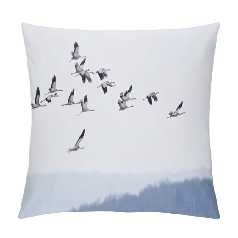 Personality  Flying Cranes Birds In Sky, Grus Grus Pillow Covers