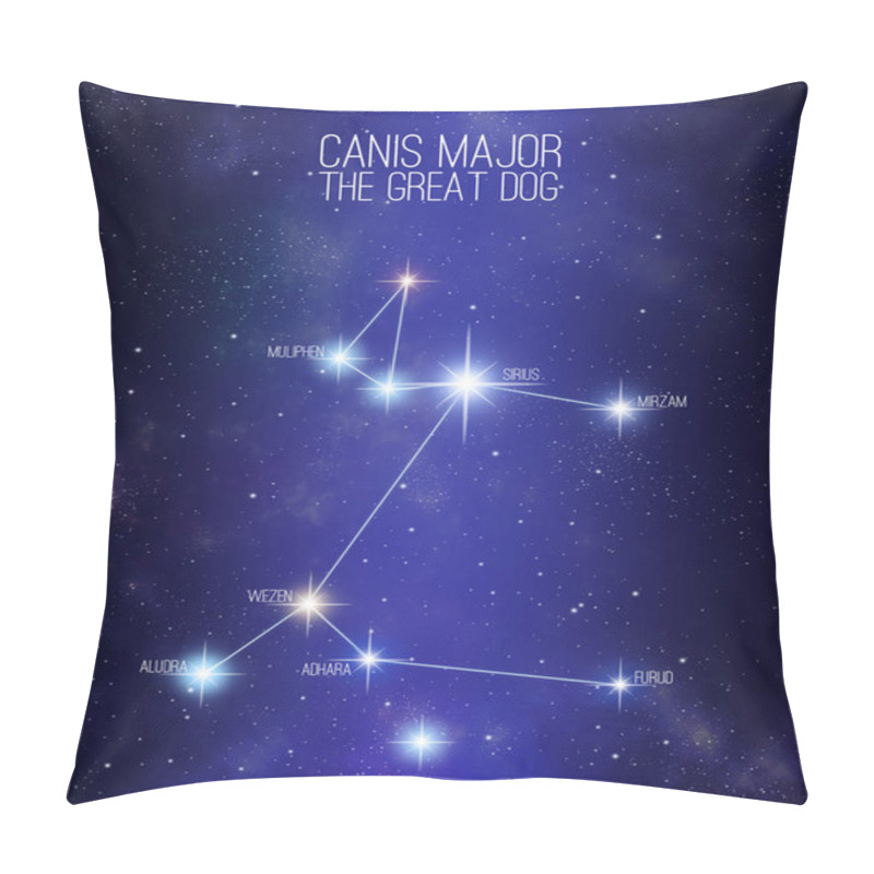 Personality  Canis Major The Great Dog Constellation On A Starry Space Background With The Names Of Its Main Stars. Relative Sizes And Different Color Shades Based On The Spectral Star Type. Pillow Covers