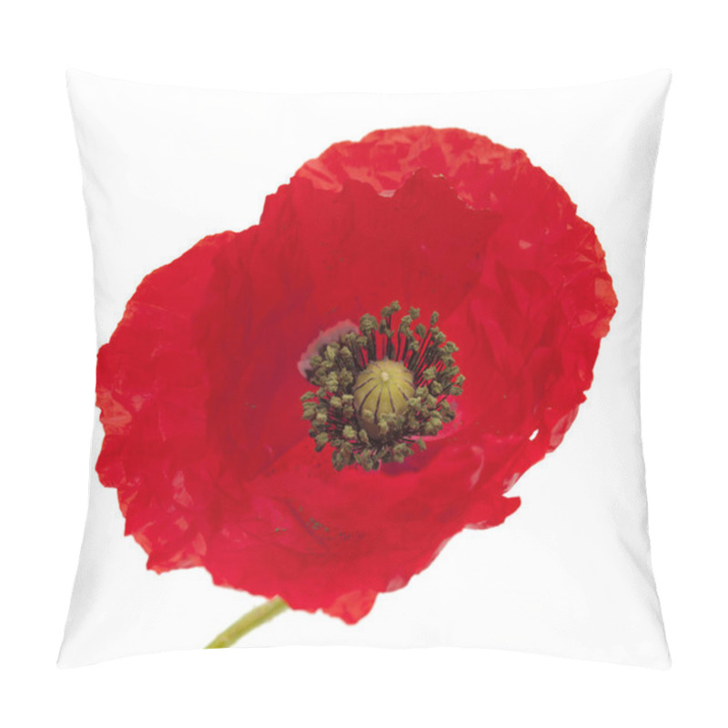 Personality  Bright Red Poppy Isolated On White Pillow Covers