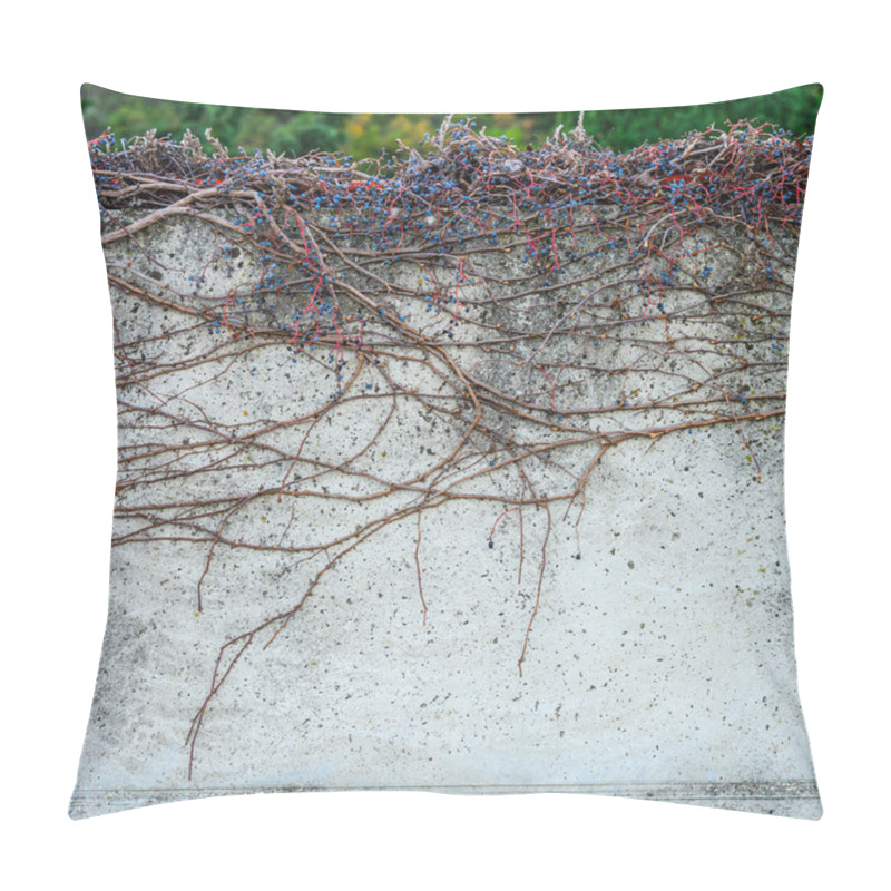 Personality  Abstract Minimalist Wall Texture With Intertwined Bare Branches And Natural Geometric Patterns Pillow Covers