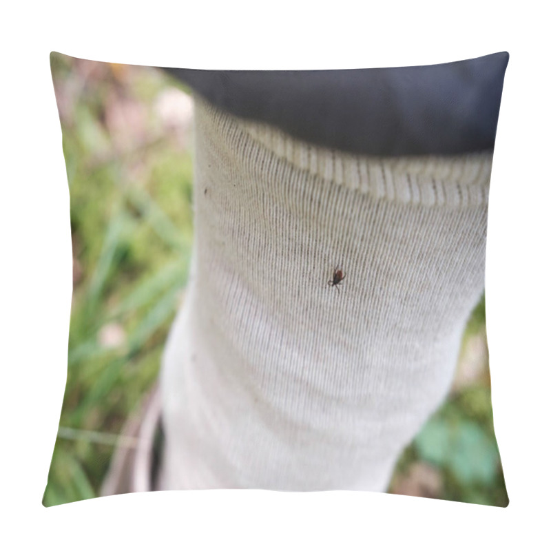 Personality  Tick Sits On Clothing To Bite, The Leg Is Tucked Into Light-colored Socks For Safety, To Protect Itself From Blood-sucking Parasites While Hiking In The Forest Pillow Covers