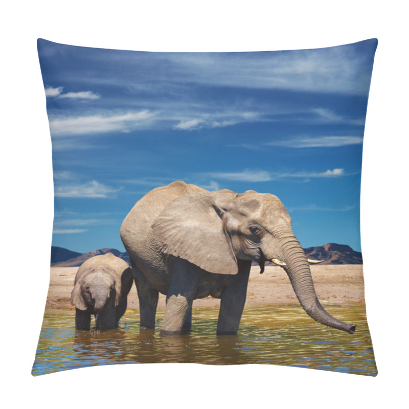 Personality  Elephants At Watering Pillow Covers