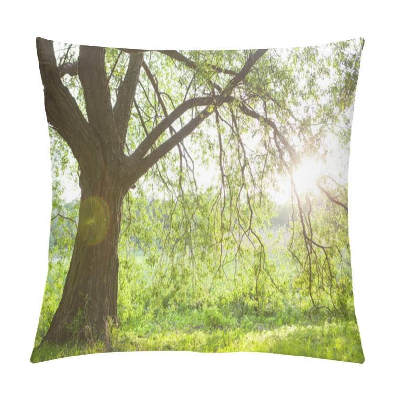 Personality  Spring Meadow With Big Tree With Fresh Green Leaves Pillow Covers