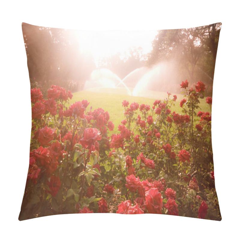 Personality  Enchanted Scene With Roses Pillow Covers