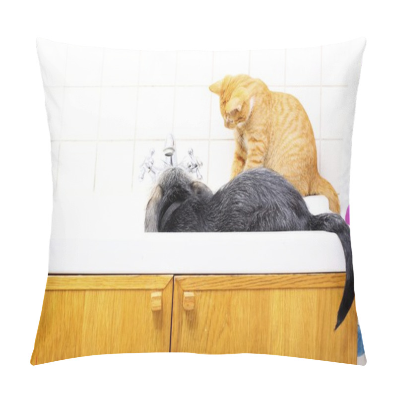 Personality  Animals At Home Dog And Cat Playing Together In Bathroom Pillow Covers