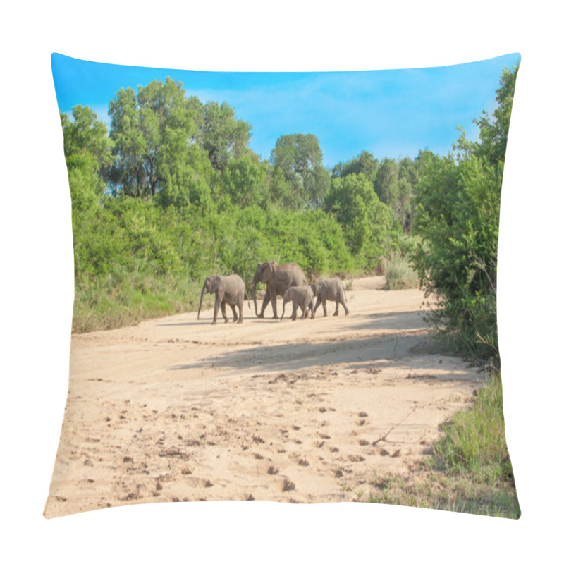 Personality  Wild Herd Of Elephants Come To Drink In Africa In National Kruger Park In UAR,natural Themed Collection Background, Beautiful Nature Of South Africa, Wildlife Adventure And Travel Pillow Covers