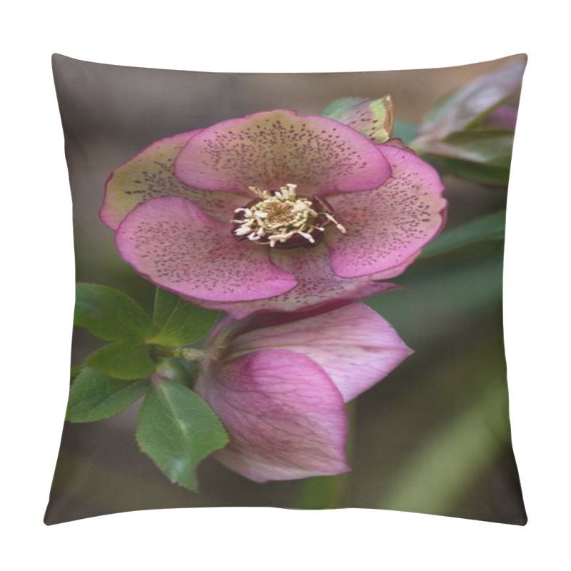 Personality  Rosa Christrose / Pink Christmas Rose Pillow Covers