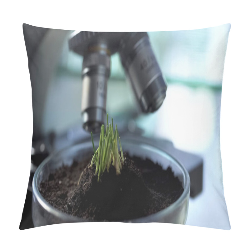 Personality  Sprouts Growth On Petri Dish, Agronomist Breeding New Varieties Of Cereals Pillow Covers