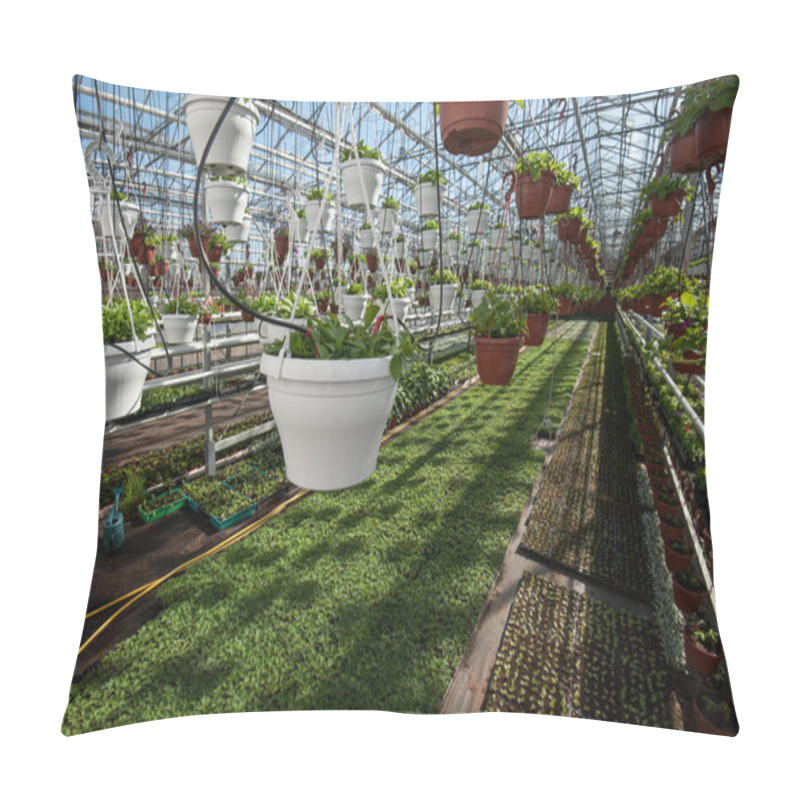 Personality  Greenhouse For Growing Vegetables Under Favorable Conditions Pillow Covers