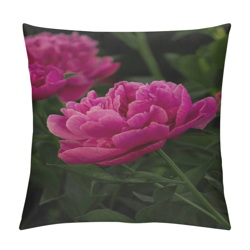 Personality  A Stunning Close-up Of A Pink Peony Flower In Full Bloom, Showcasing Its Soft Petals And Intricate Details. A Perfect Symbol Of Elegance And Natural Beauty. Pillow Covers